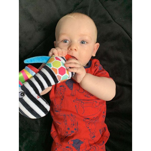 Tymek piszczek z gryzakiem Mom's Care