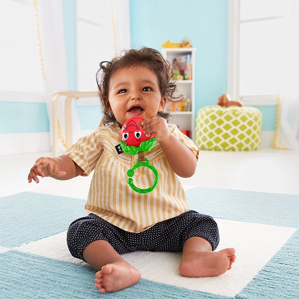 Zawieszki i grzechotki zestaw 6 szt Fisher Price