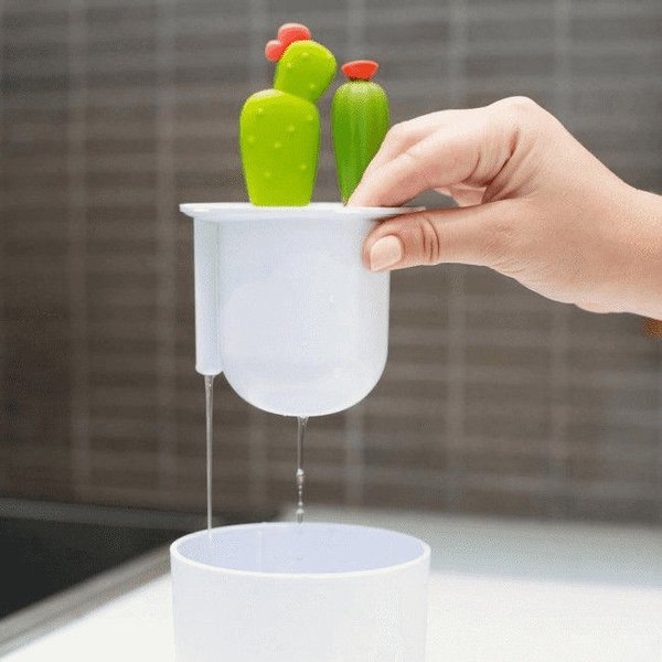 Zestaw do czyszczenia butelek kaktus Boon