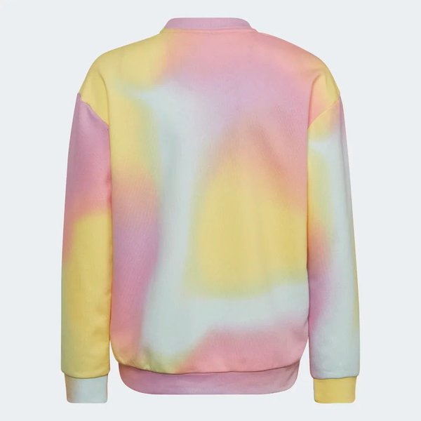 Bluza juniorska Arkd3 Adidas