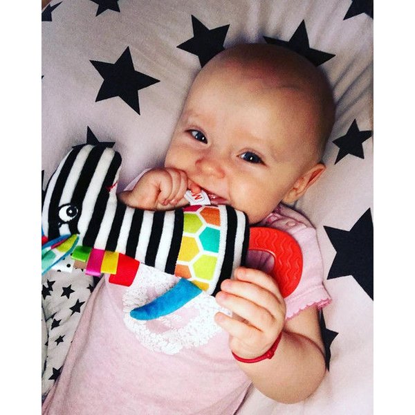 Tymek piszczek z gryzakiem Mom's Care