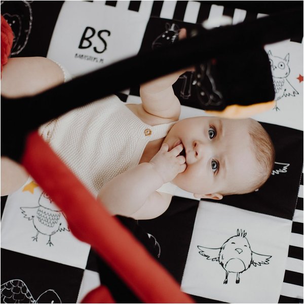 Mata Kontrastowa z pałąkami Babysteps