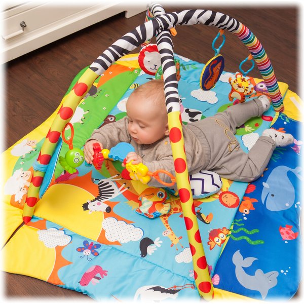 Mata edukacyjna Anika Lionelo