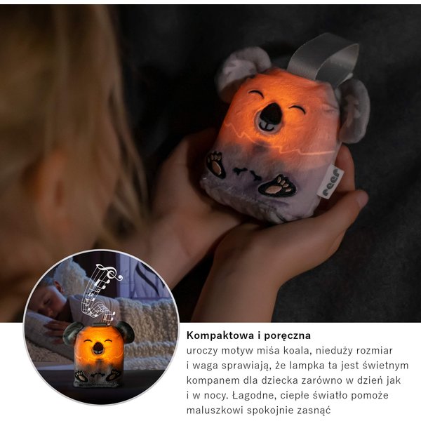 Lampka nocna LED z pozytywką i timerem RE-52451 Reer