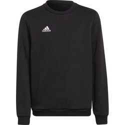 Bluza juniorska Entrada 22 Sweat Top Adidas