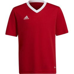 Koszulka juniorska Entrada 22 Jersey Adidas