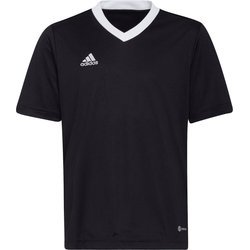 Koszulka młodzieżowa Entrada 22 Jersey Adidas