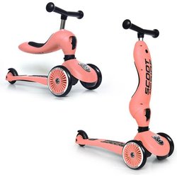 Jeździk i hulajnoga Highwaykick 2w1 Scootandride