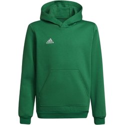 Bluza juniorska Entrada 22 Hoody Adidas