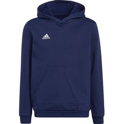 Bluza juniorska Entrada 22 Hoody Adidas