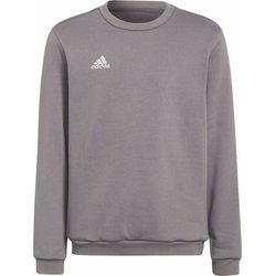 Bluza juniorska Entrada 22 Sweat Top Adidas
