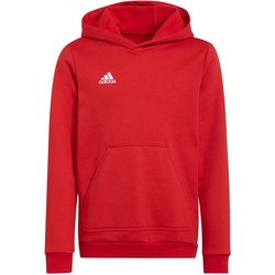 Bluza juniorska Entrada 22 Hoody Adidas