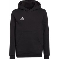 Bluza juniorska Entrada 22 Hoody Adidas