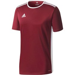 Koszulka młodzieżowa Entrada 18 Jersey Adidas