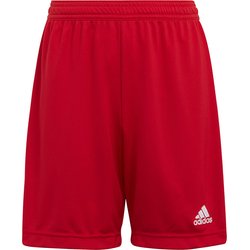 Spodenki juniorskie Entrada 22 Adidas