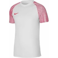 Koszulka juniorska Dri-Fit Academy Nike