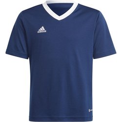 Koszulka juniorska Entrada 22 Jersey Adidas