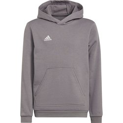 Bluza juniorska Entrada 22 Hoody Adidas