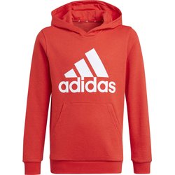 Bluza młodzieżowa Essentials Hoodie Adidas