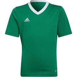 Koszulka juniorska Entrada 22 Jersey Adidas