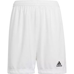 Spodenki juniorskie Entrada 22 Adidas