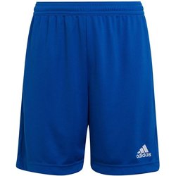 Spodenki juniorskie Entrada 22 Adidas