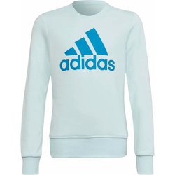 Bluza juniorska Essentials Adidas