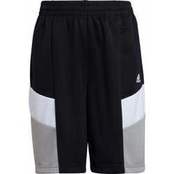 Spodenki juniorskie Designed to Move Adidas