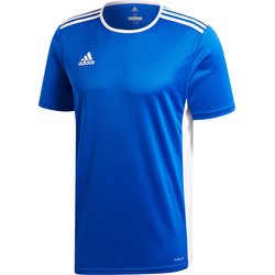 Koszulka młodzieżowa Entrada 18 Jersey Adidas
