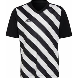 Koszulka juniorska Entrada 22 Graphic Jersey Adidas