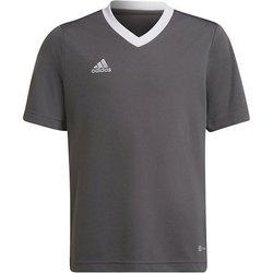 Koszulka juniorska Entrada 22 Jersey Adidas
