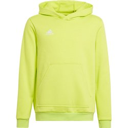 Bluza juniorska Entrada 22 Hoody Adidas