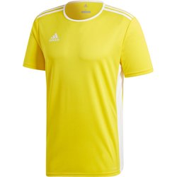 Koszulka młodzieżowa Entrada 18 Jersey Adidas