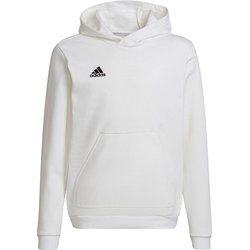 Bluza juniorska Entrada 22 Hoody Adidas