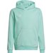 Bluza juniorska Entrada 22 Hoody Adidas - miętowa