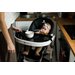 Krzesełko do karmienia Fidi Sun Baby - Black