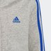 Bluza juniorska Essentials 3-Stripes Hoodie Adidas - szara-niebieska