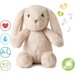 Szumiący Królik z czujnikiem ruchu i pozytywką Love Light Buddies Cloud B - Królik