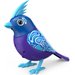 Śpiewający ptaszek z klatką DigiBirds Dumel - Congo