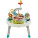 Aktywizujące centrum zabaw Fisher Price