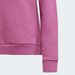 Bluza juniorska Essentials Brand Love Print Adidas