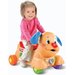 Szczeniaczkowy chodzik - jeździk Fisher Price