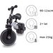 Rowerek 3w1 Pico Kidwell - Gray