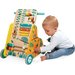 Wielofunkcyjny pchacz edukacyjny Tropik 12m+ Janod