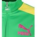 Bluza juniorska Multicolor Logo Cat Puma - zielony