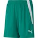 Spodenki młodzieżowe teamLIGA Shorts Puma - zielone