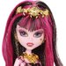 Draculaura Impreza 13 życzeń Monster High