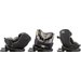 Fotelik samochodowy EvolveFix i-Size 0-36kg Bebe Confort - Gray Mist