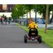 Gokart na pedały Thor Milly Mally - czerwony