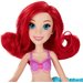 Pływająca Arielka ze zwierzakami Disney Princess Hasbro